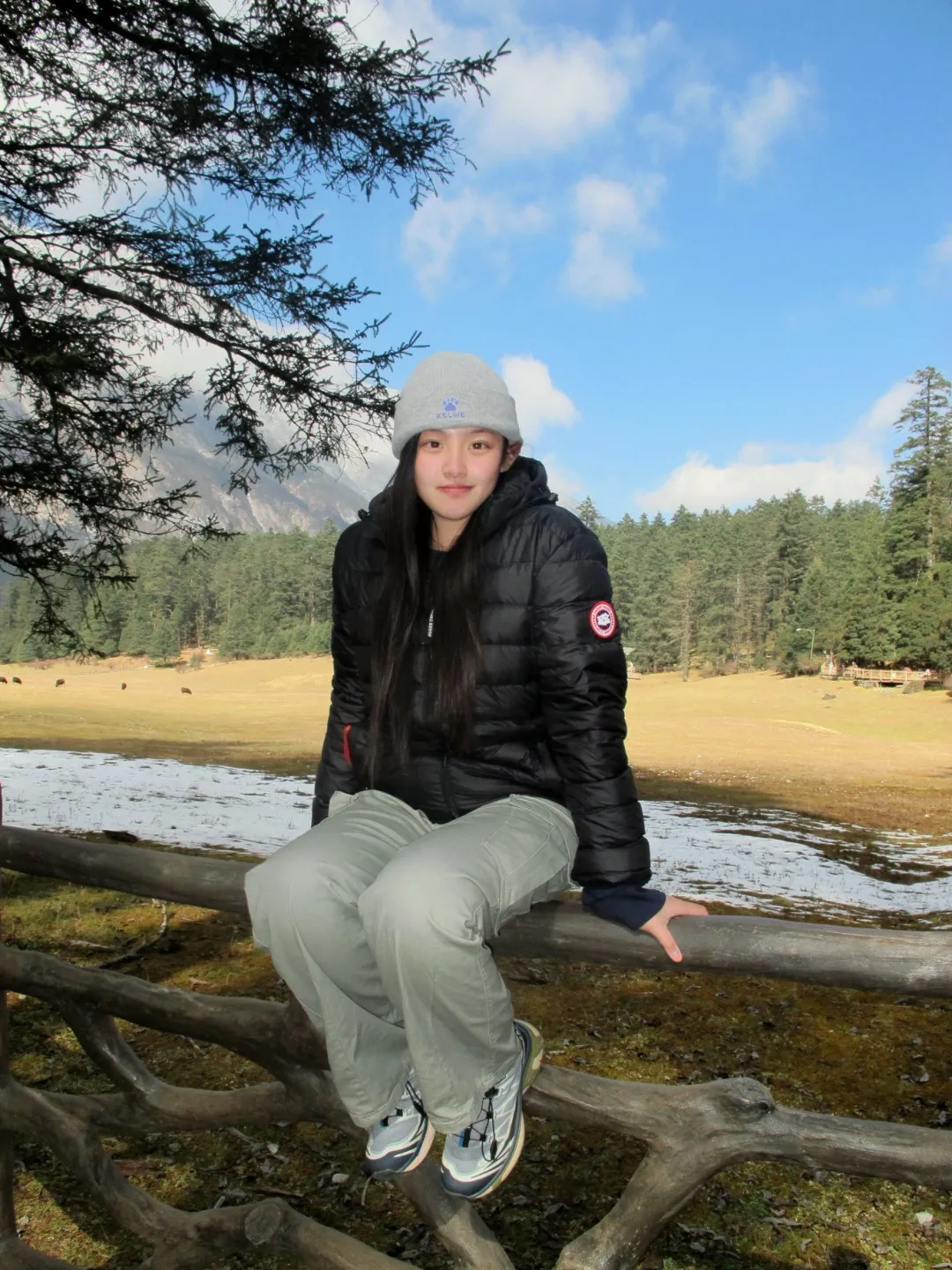 Upper body material picture Canada Goose/𝐂𝐚𝐧𝐚𝐝𝐚 𝐆𝐨𝐨𝐬𝐞 26FW red label light hooded down jacket
